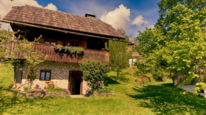 Отель Domačija Koklej - Apartments Vintage Vacation  Луце